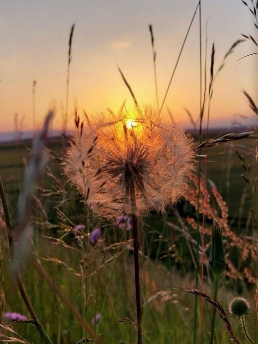 🎥 Depuis fin avril j’ai fait 11,2km des chemins de Compostelle. J’ai fait Firminy. J’ai fait une partie des Pyrénées Altantiques et je suis rentrée de Nantes en covoiturage aujourd’hui. C’est une photo d’ailleurs du tournage de Jeunesse Rêve Toi génération COVID 19.