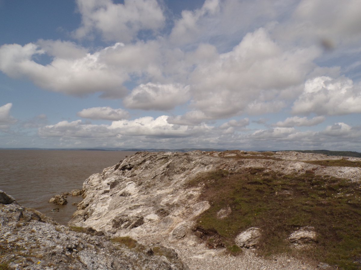 Our next field trip is Tues 19th August 1pm to 4.30pm exploring the lunar landscape of Warton Sands. Meet at Cotestones Farm at the end of Sand Lane