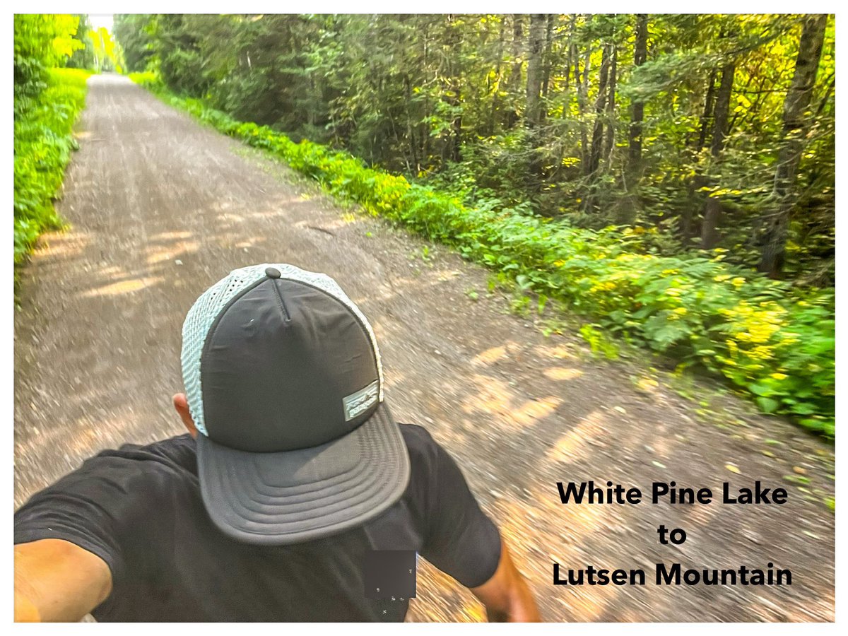 Run_Trl's tweet image. 