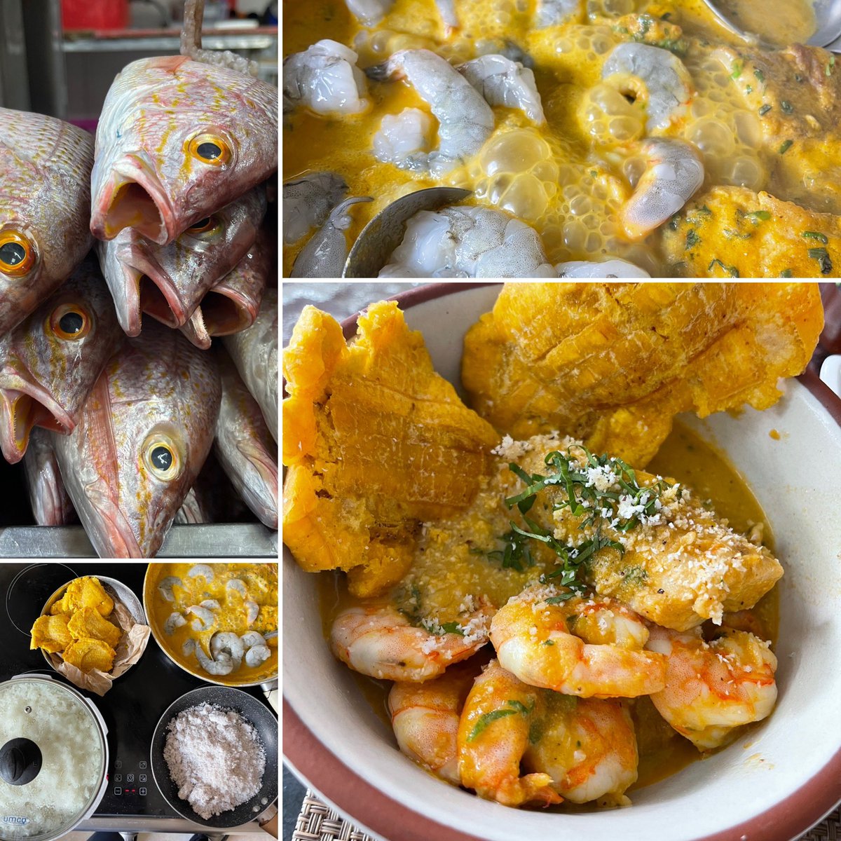 diegoalban's tweet photo. En la Gastronomía ecuatoriana los que se vendrá es la gran cocina Afro, Menú de hoy, encocado 🥥 🌴 de pescado 🐟 dorado y camarones 🍤 coco y chillangua fresca, patacones y arroz 🍚 #ecuador 🇪🇨 #coconut #afrofood #afrolatino  🧅🍅🫑🌶️ #gastronomia #uide #esmeraldas https://t.co/IvtFs2gqll