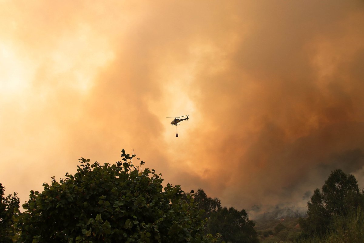 ⚠️ La Junta de Castilla y León 
recomienda ahora tomar medidas de precaución ante las concentraciones muy elevadas de partículas en el aire como consecuencia de los incendios que asolan la provincia de #LeónEsp. 

📸 Agencia Ical