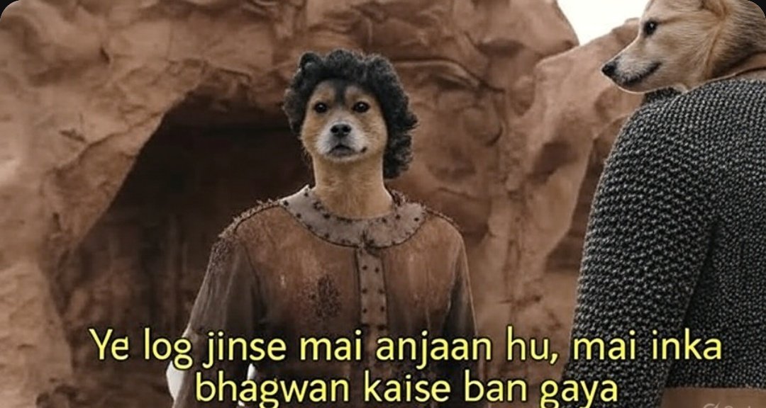 Dogesh bhai to dog lovers 🤣🤣