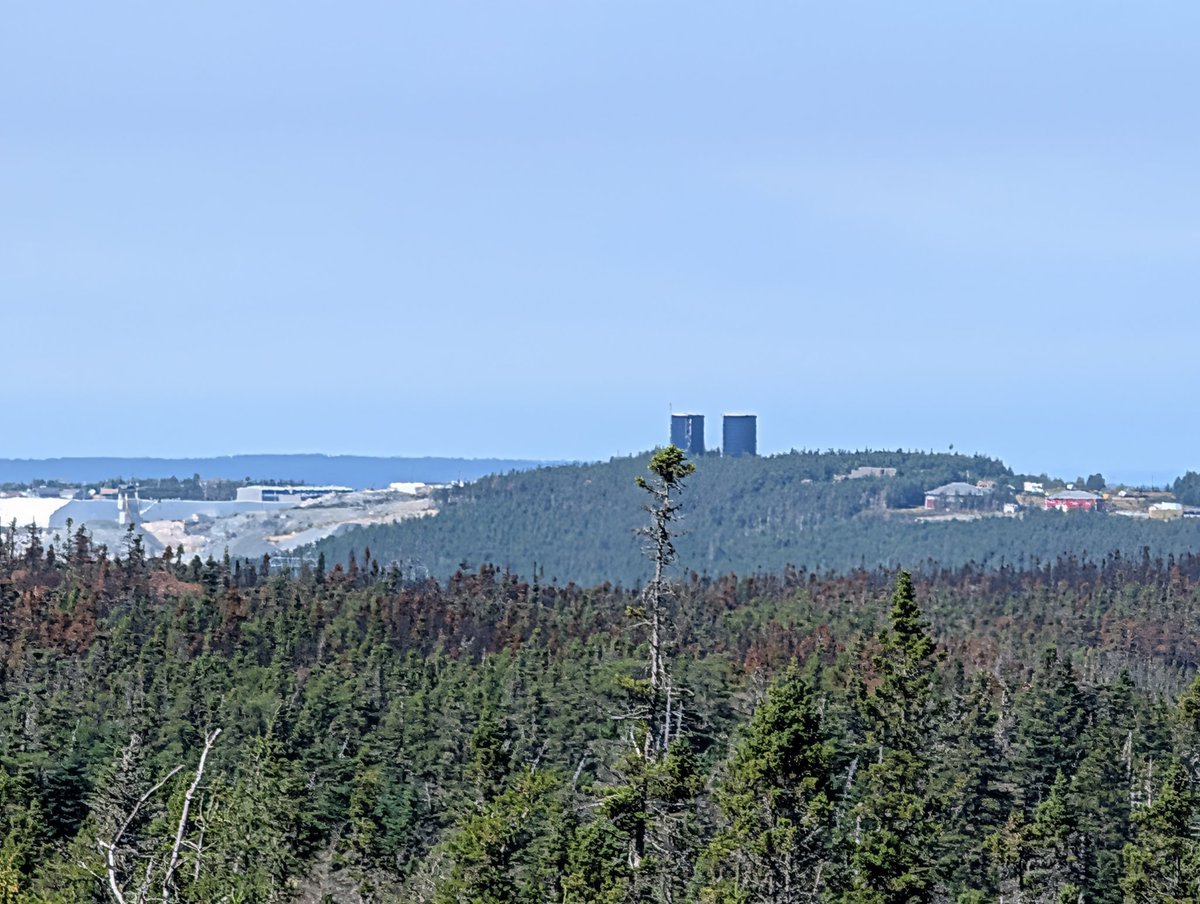 _brandon_jarvis's tweet image. Paddy&apos;s Pond wildfire this afternoon. Thank you to all the crews! #nlwx #nltraffic