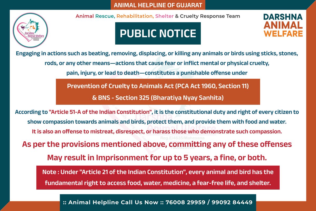 dilthi_gujarati's tweet photo. 🚨🆘🆘🆘🆘🆘🆘
@CMODelhi : #Dog crushed by #HumanMenace in Old #delhi #TurkmanGate area. Please help.

Any veterinary government hospital available right now?

Please help this Dog being crushed by your loving peaceful humans.

Immediately help him. 

@VijayGoelBJP @theskindoctor13 @dranuj_k @KartiPC @PChidambaram_IN @narendramodi @AmitShah @ndtv @Republic_Bharat @CMODelhi @byadavbjp @SCJudgments 

Help this dog crushed in Delhi.

@VijayGoelBJP call ambulance for animals if available in Delhi??

What if you family member got crushed in front of your eyes?.what will you do? Same happening with dogs too. They see the abuse torture daily by humans murdering their family. Still you target them for bites? What will a dog do?  Whom do animals complaint?

@theskindoctor13 Please help this dog intentionally crushed by your hater gang mafia.

Cruelty in Delhi state sponsored provocation to target dog's. Citizens are killing dogs daily.
@pfaindia @JesudossAsher
@PetaIndia @AmbikaShukla15
@Manekagandhibjp
#savedelhincrdogs2025
#nodogsnovote
#NoDogNoVote
#NoIndependenceDay #IndependenceDay #IndependenceDay2025 #NoIndependenceForAnimals #JaiHind #VandeMataram
#TirangaMorning #HarGharTiranga #HarGharTiranga2025 #GoGreen #SaveDelhiDogs #StopRelocation #AnimalCruelty #ABCRules2023 #HumanMenace #SaveDelhiDogs2025 #SaveDelhiNCRDogs #straydogs #DogsOfTurkey