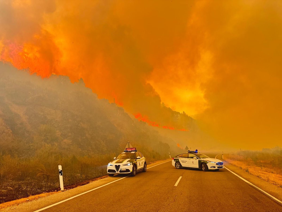 🔴#OperacionesGC | Detenidas 2 personas como presuntas autoras de #IncendiosForestales en #Ourense.

▶️ Una por el incendio originado ayer que se unió a otro iniciado el día 13. Se ha acordado su ingreso en prisiòn provisional.

▶️ Otra por 2 conatos de incendio en el término