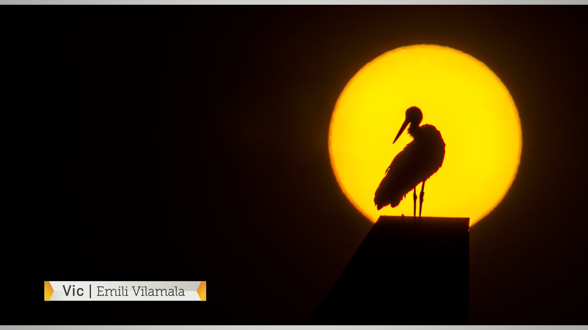 Es comença a desinflar l'onada de calor i ve una davallada de la temperatura. Entre dimarts i dijous la calor es normalitzarà i s'incrementen les tempestes. Xàfecs ja per la tarda de dilluns.

Mapa de Tº màxima  d’avui  📊 Més dades : ➡ ccma.cat/el-temps/quin-… #ElTemps3Cat