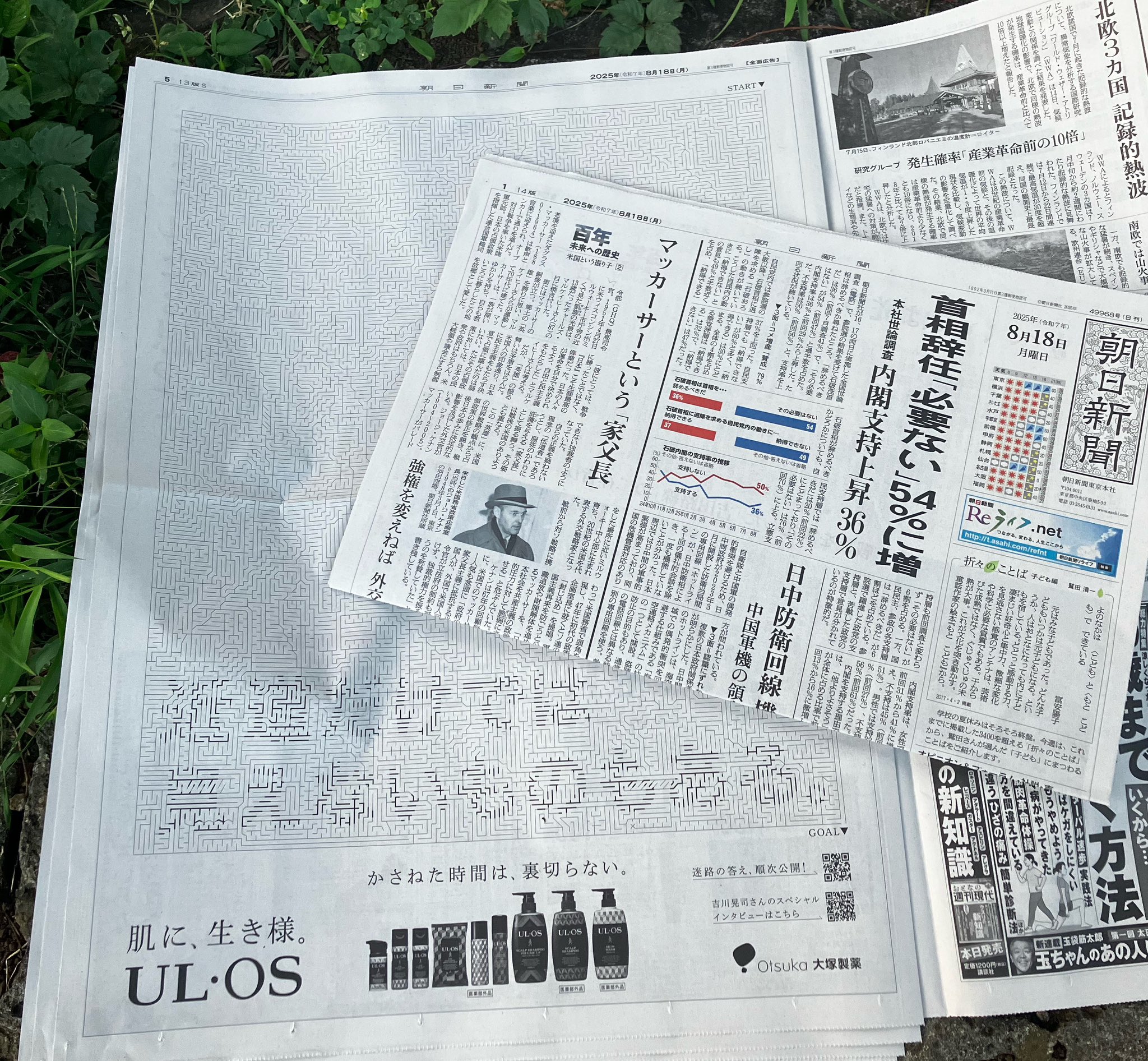 新聞 三井不動産株式会社が運営する『Mitsui Shopping Park &mall