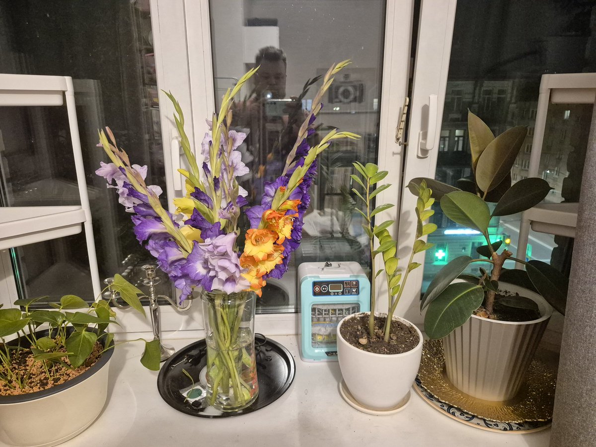 Цветы из детства. Ассортимент стал больше!