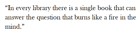 Boze the Library Owl 😴🧙‍♀️ tweet media