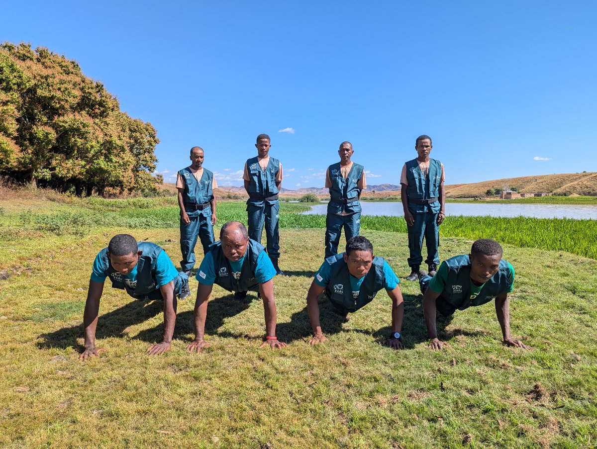 💪🐾 Our rangers—Team Fosa &amp; Team Sifaka—took on the #WildlifeRangerChallenge push-up challenge! Results out next week 📢 so stay tuned!

Support IMPACT Madagascar’s #rangers &amp; #wildlife here 👉 wildlife.rangerchallenge.org/campaigns/impa…

#ForWildlifeRangers #WildlifeRangerChallenge #Madagascar