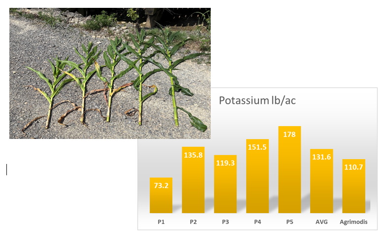 Agrimodis tweet media