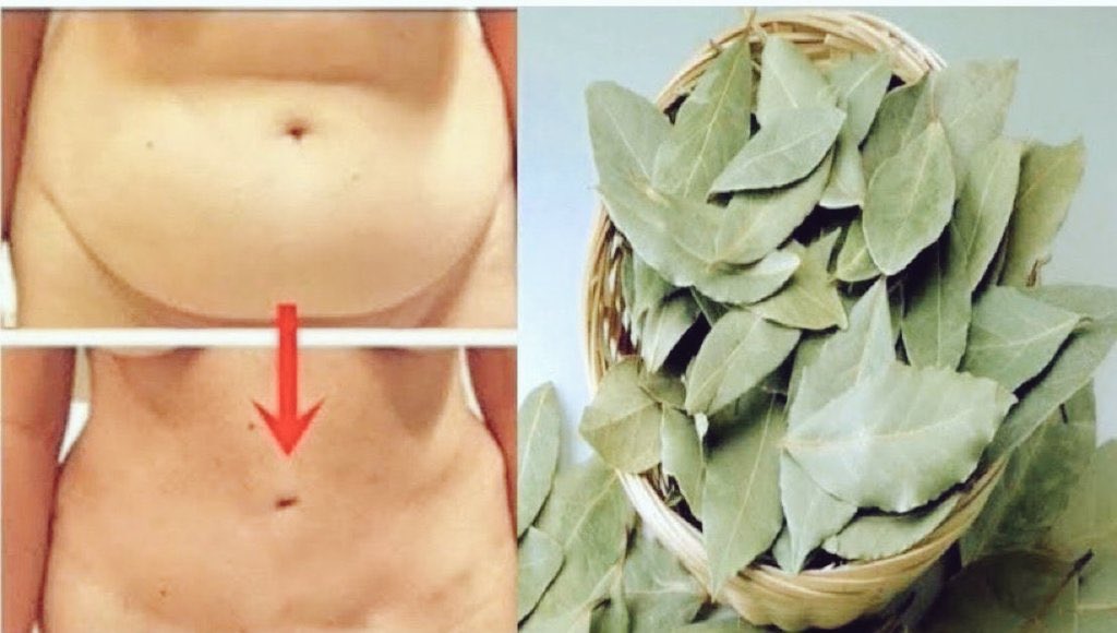 Greatiist0ffice's tweet image. معجزه ربانيه ستجعل بطنك مسطحا وشعرك كثيف خالي من الشيب ووجهك أبيض ومشدود كالقمر وفي 3 أيام فقط ؟!