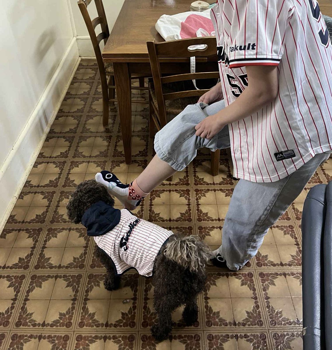 king_mayumi tweet media