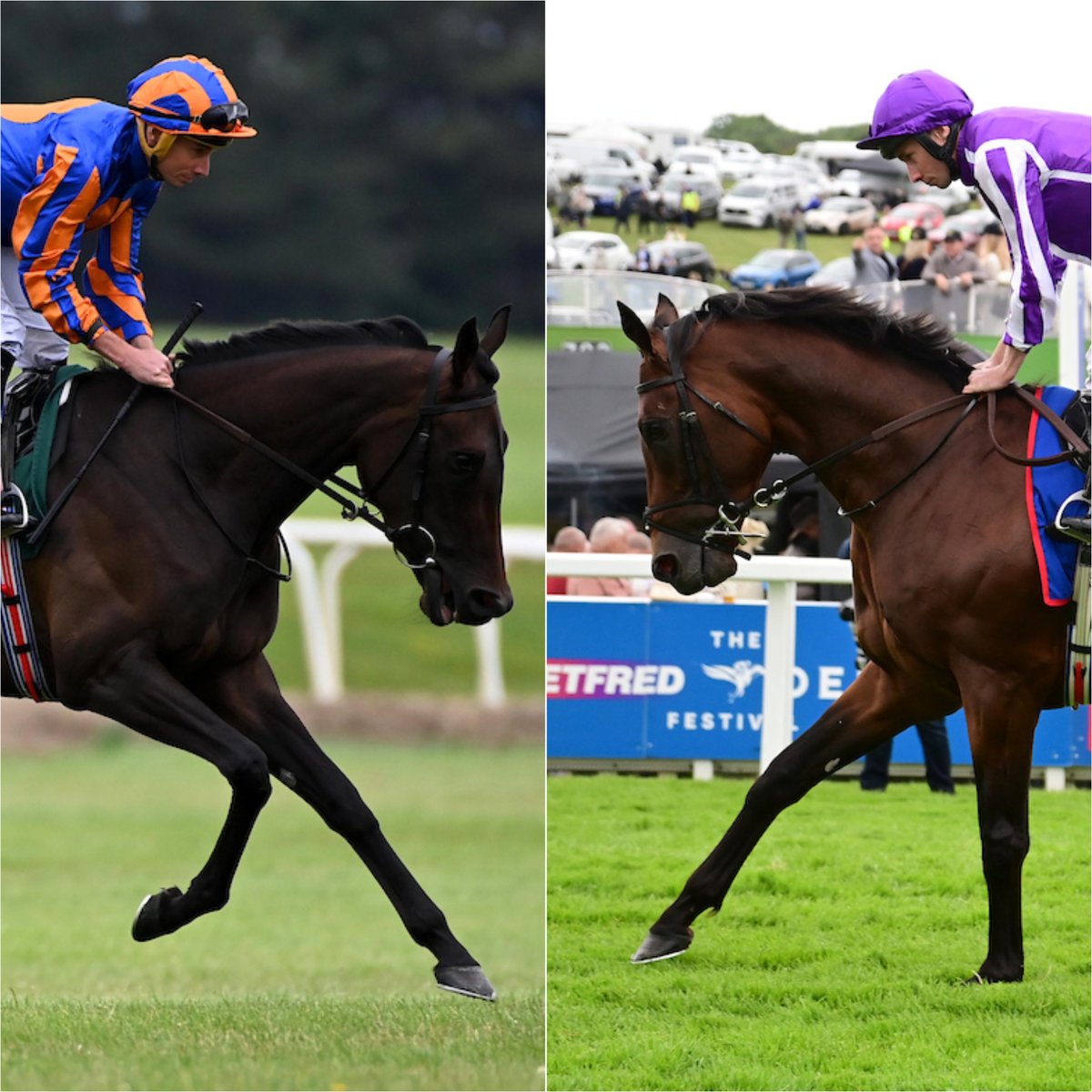 🇬🇧#インターナショナルS】 ブックメーカーで、🇮🇪A.オブライエン厩舎の