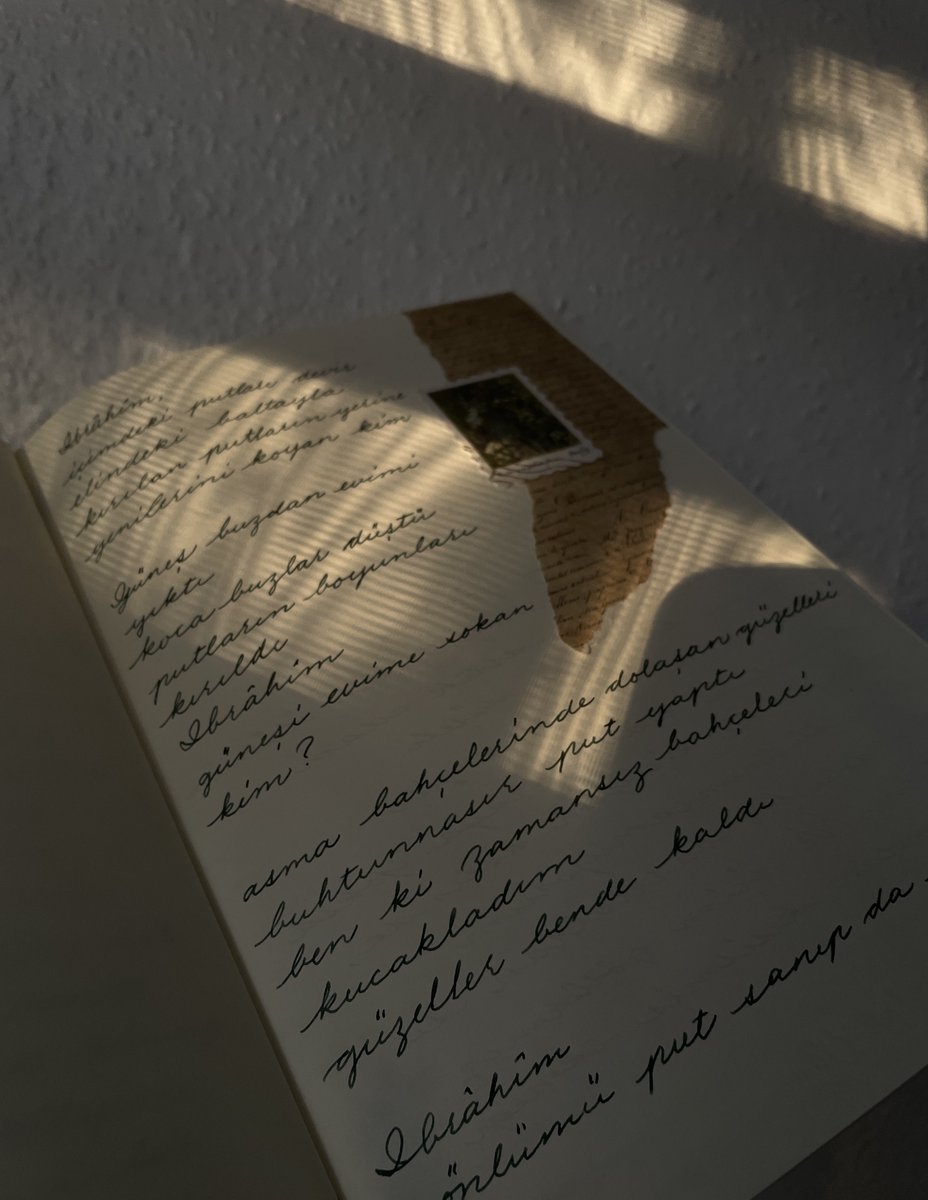 beynelhuruf's tweet photo. Gün bitmek üzere iken 🥰 https://t.co/2YsL0Lk0SA