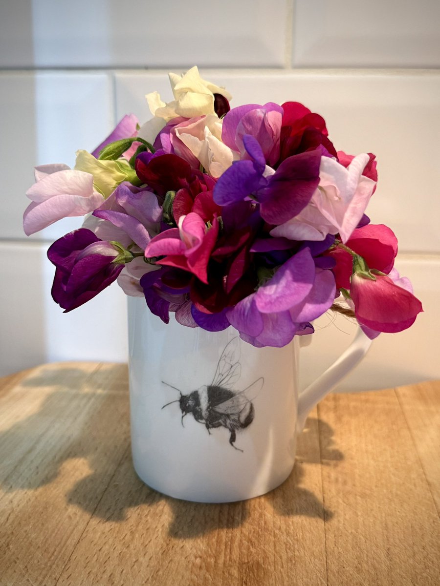tjd19's tweet image. tonight&apos;s trio of watering delights...freshly cut sweet peas in a bee mug (seems fitting as a thank you to the bees 🐝) and two &apos;Cafe Au Lait&apos; Dahlias in the evening sun, just love &apos;em 💞🍃#plot24
