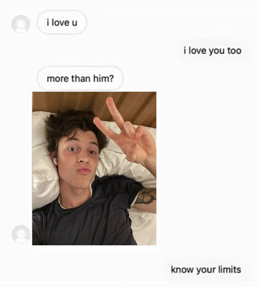 no one above shawn mendes