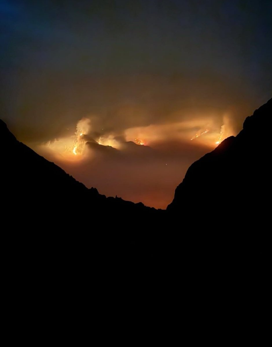 Este otoño espero recolectar todas las semillas posibles y esparcirlas por montes quemados. 
Será mi grano de arena por nuestra naturaleza, tan castigada y olvida por muchos.