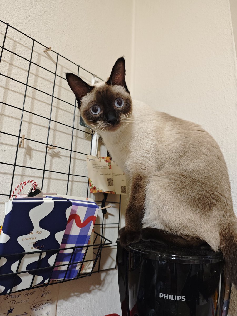 Pazartesiye minik bir bakış attık👀

İyi geceler  💤