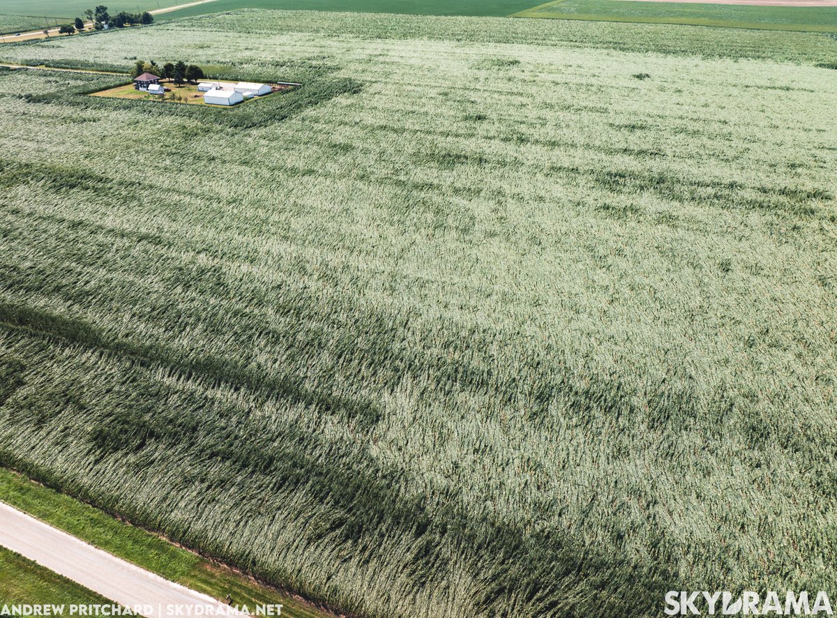 Andrew Pritchard tweet media