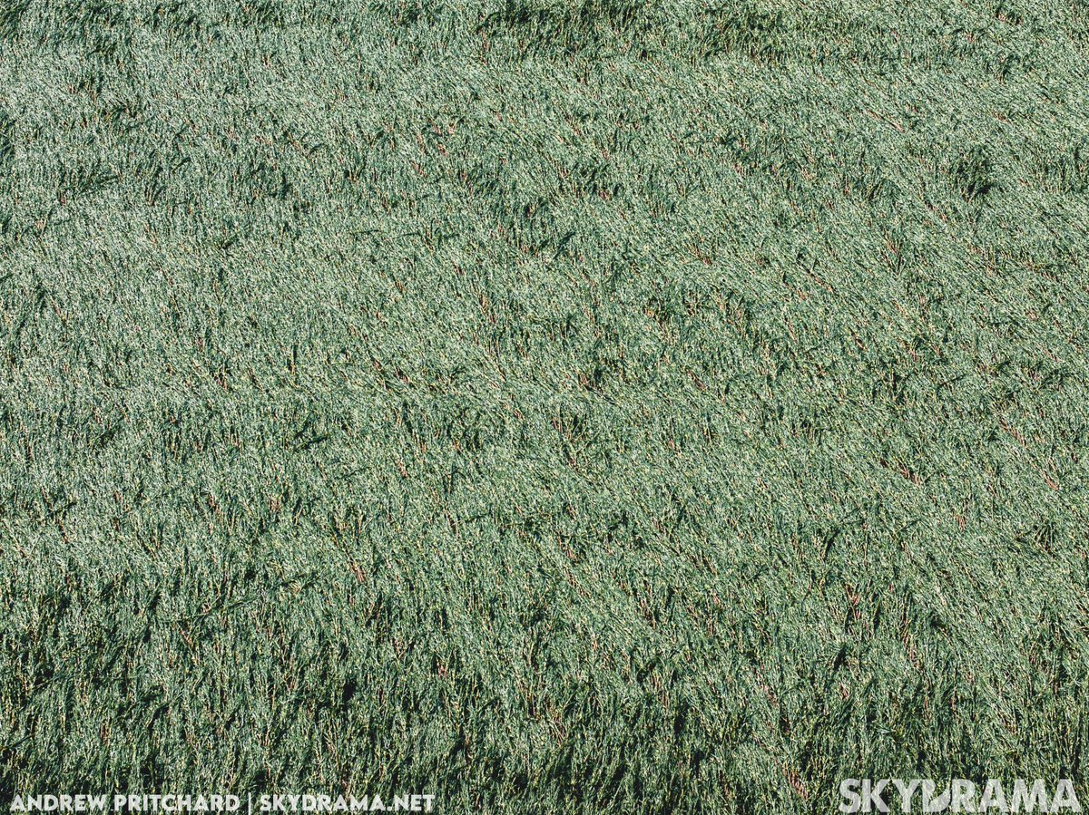 Andrew Pritchard tweet media