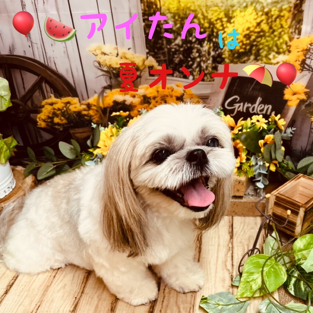 YaMaSaN (@YaMaSan777X) / Posts / X