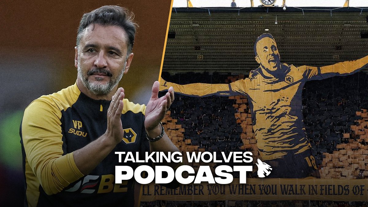 Talking Wolves tweet media
