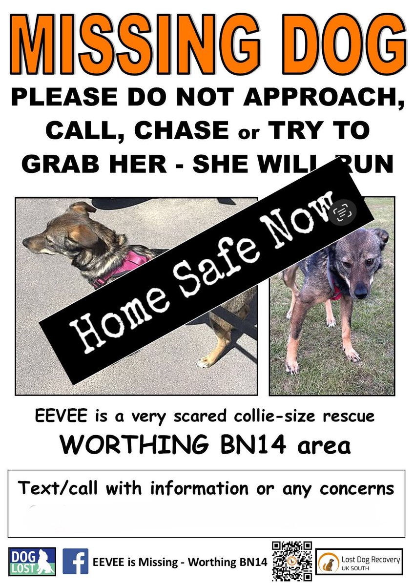 Lost Dog Recovery UK South tweet media