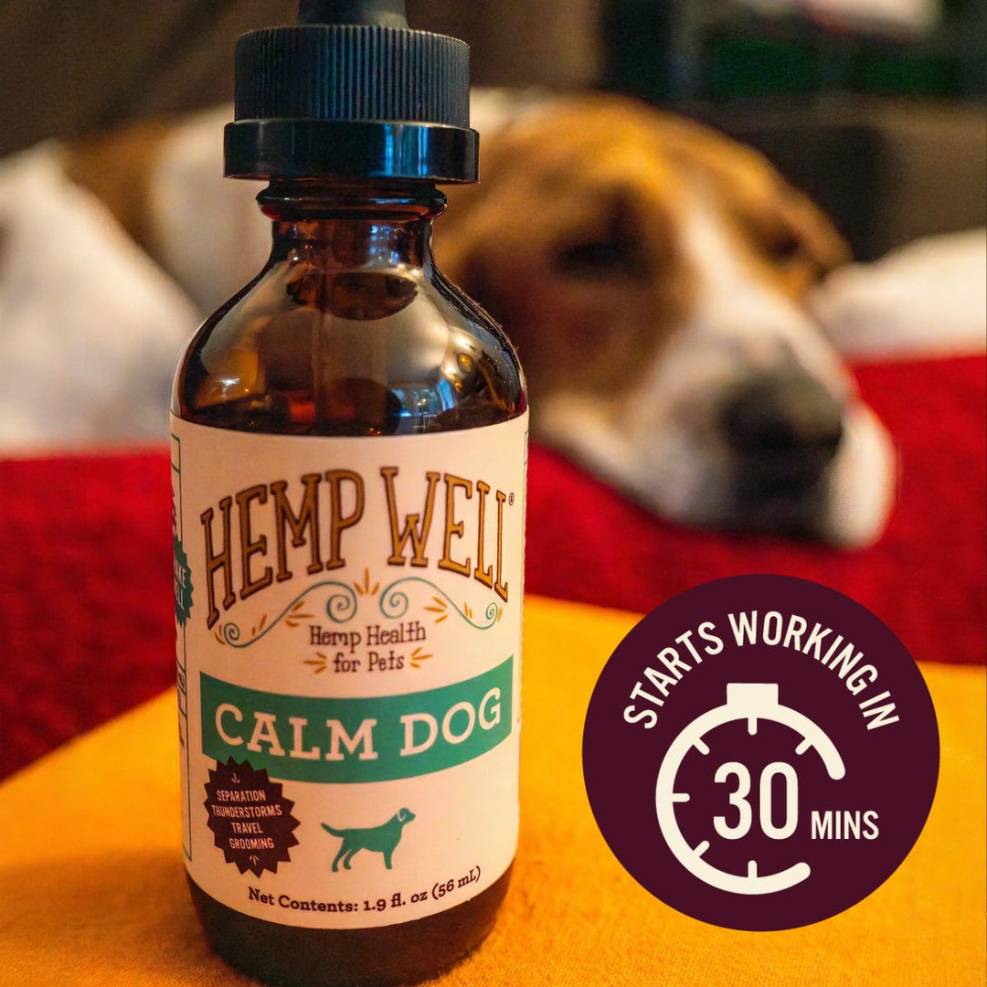 HempWell's tweet photo. 50% OFF limited time. ,,,,#CalmDog
Whether it’s thunderstorms, car rides, or behavior from separation, some dogs need a little extra support to feel secure. Hemp Well Calm Dog Oil helps promote relaxation with a blend of natural calming herbs... https://t.co/EcfNnWtPVF https://t.co/8LBRMZDT6d