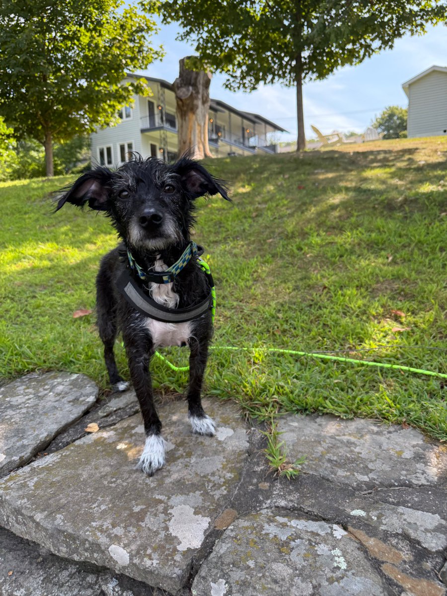 I don’t know if the Poconos will ever be what it once was, but as long as he’s having a good time that’s okay with me.