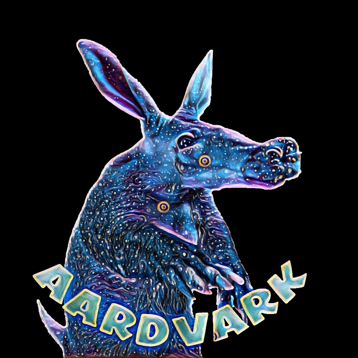 F I R S T   W O R D   I N   T H E   
          D I C T I O N A R Y