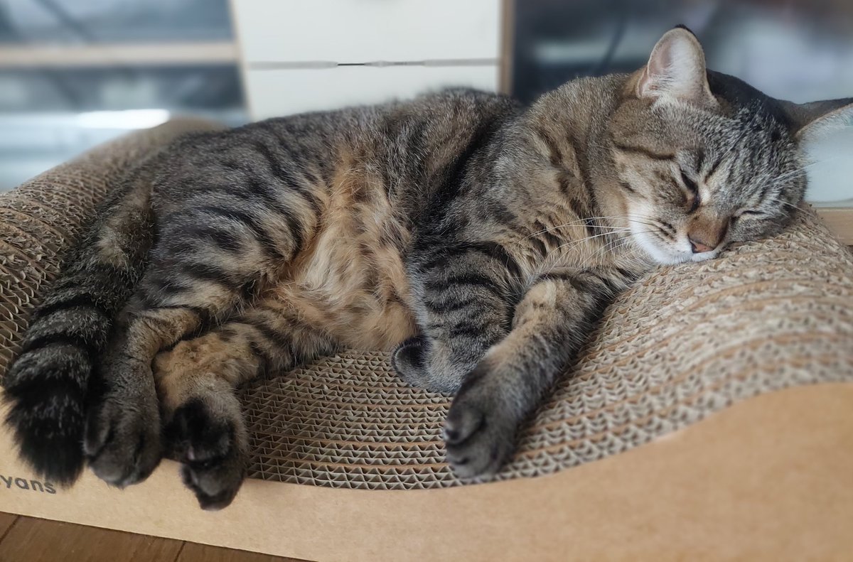 長期連休明けの出勤一日目、これ