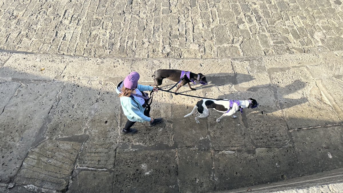 Fire’s Brigade tweet media