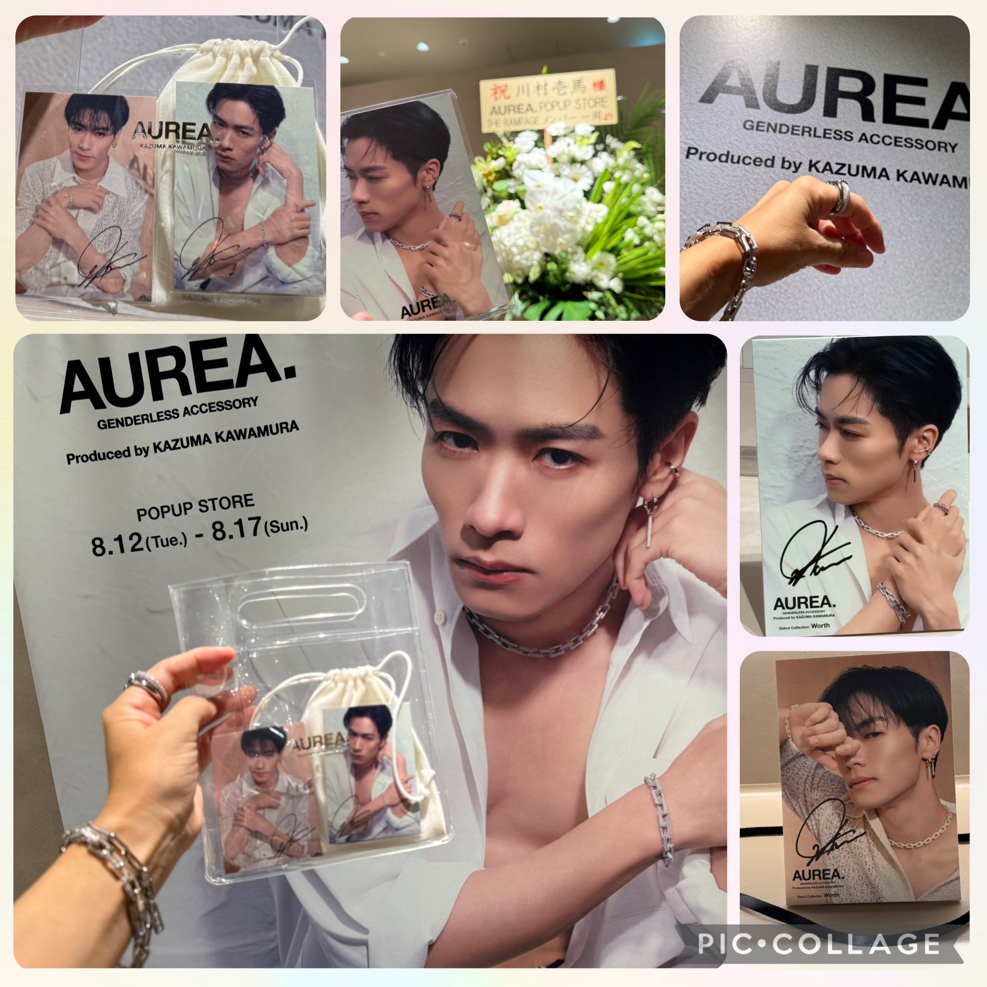 àurea - Search / X