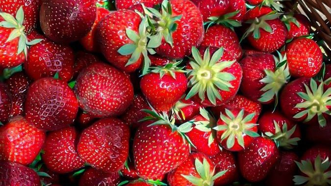 greenvibe's tweet image. strawberry