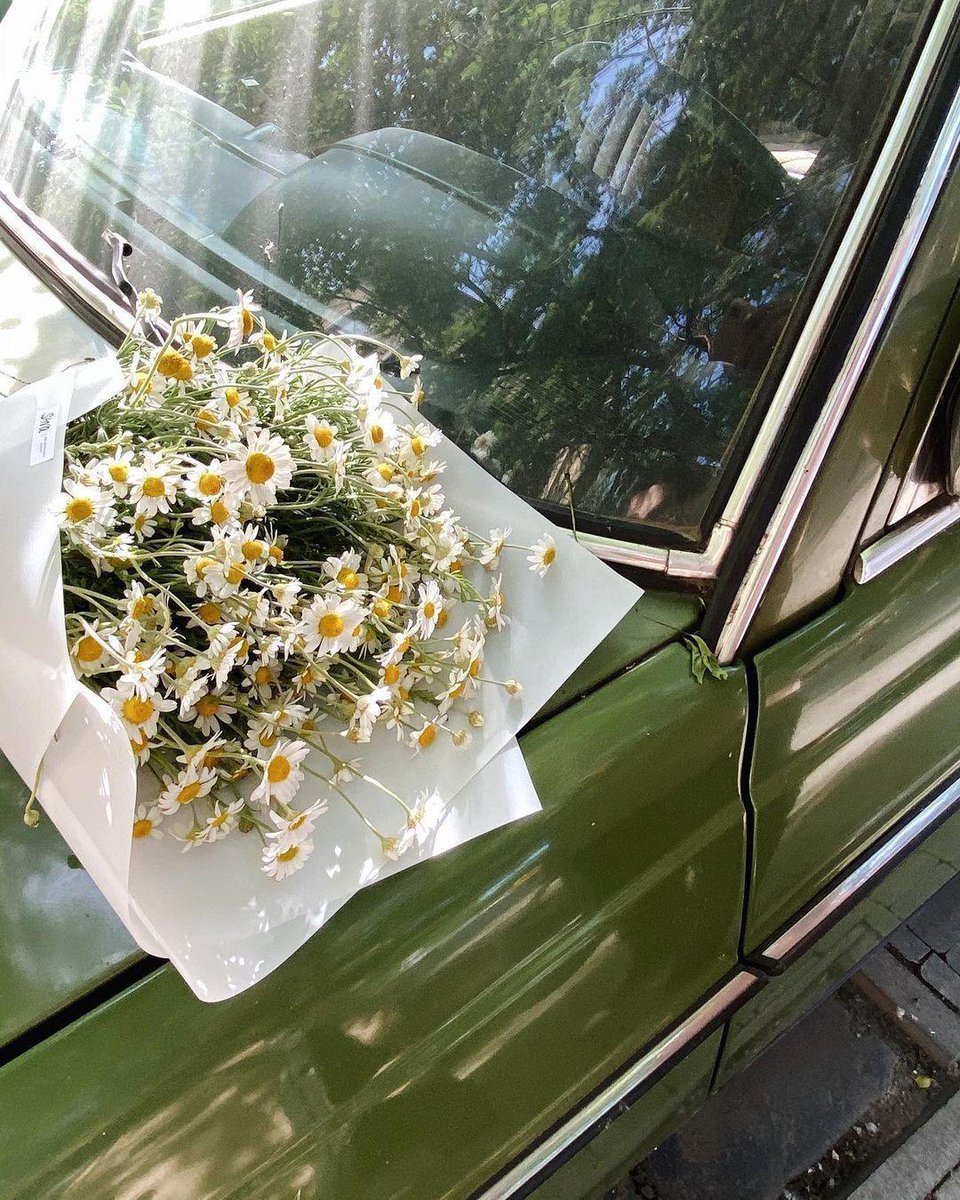 greendreaams's tweet image. 