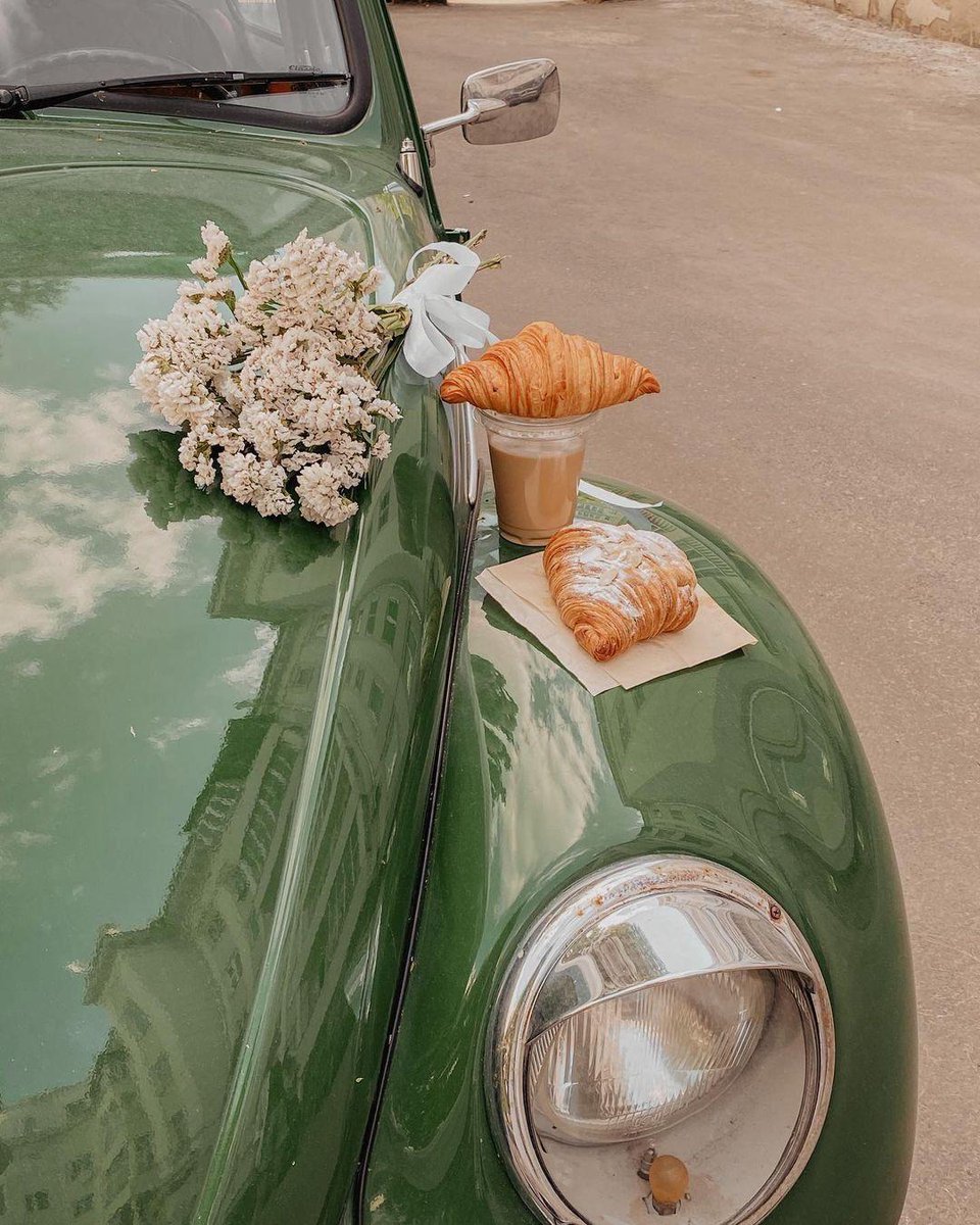 greendreaams's tweet image. 