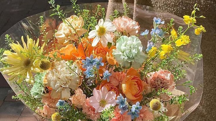 greenvibe's tweet photo. flowers. https://t.co/WSZgYHFpJQ