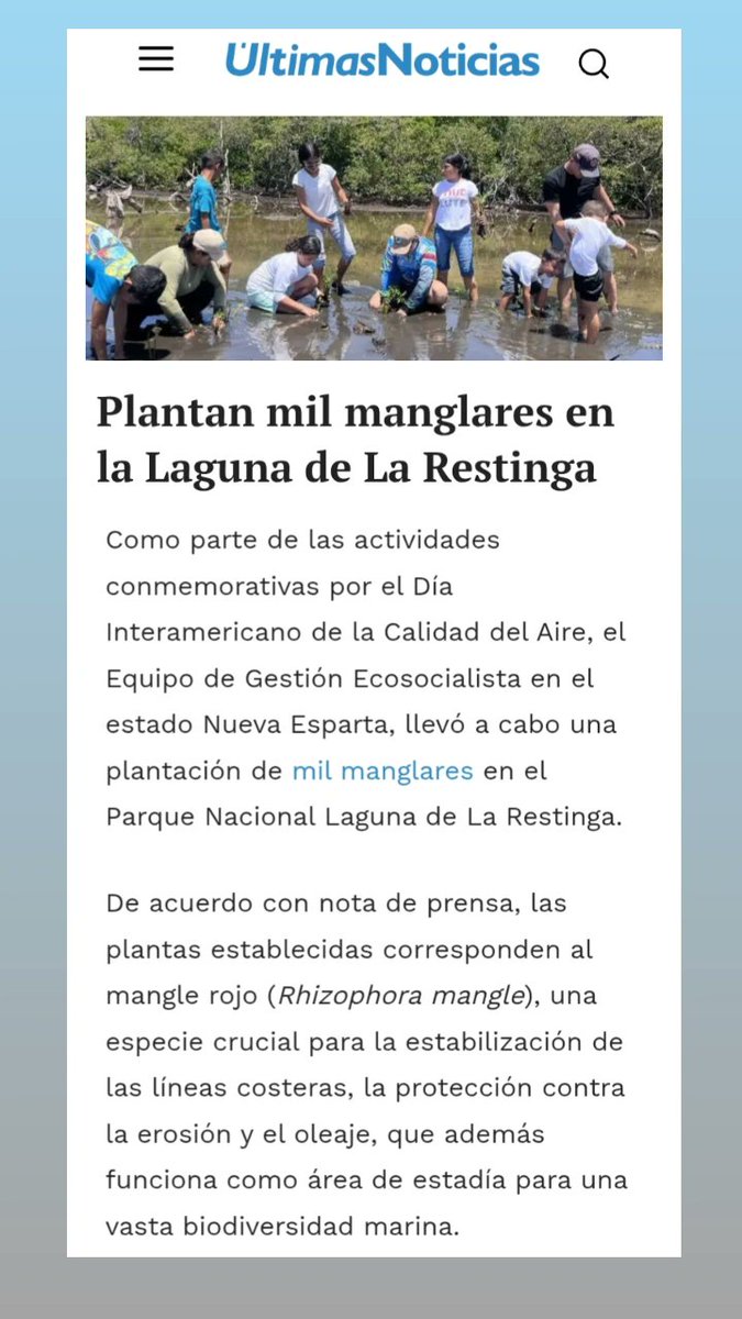 #Venezuela #NuevaEsparta #Margarita #Restinga #siembra #manglares