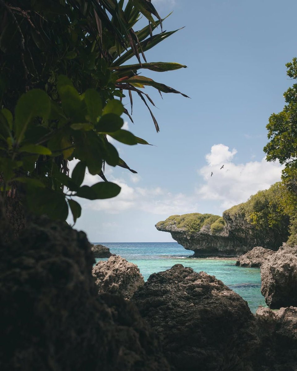 TheGuamGuide's tweet photo. Mondayโs looking real good ๐ Island views like this make it hard to complain.
๐ธ: @lotusmedia_gu
#GuamGuide #IslandLife #guam #Guamviews https://t.co/27huG8df4C