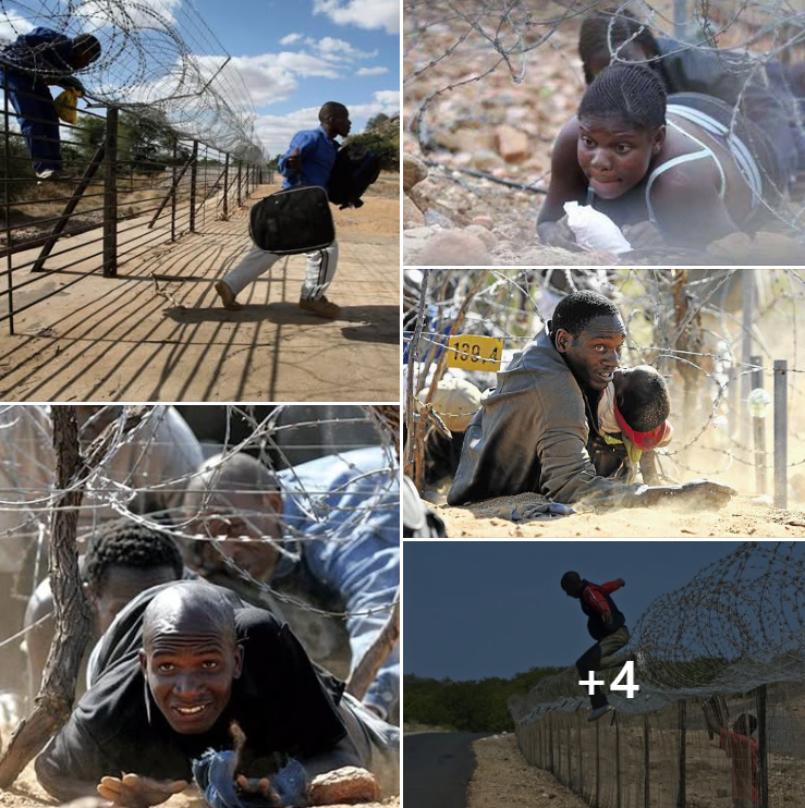 African Hub tweet media