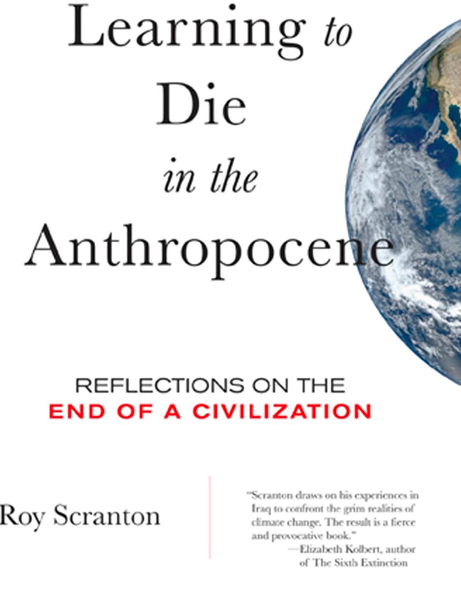 PeriodicDose 🌱🏳️‍🌈🕊#CEASEFIRENOW tweet media
