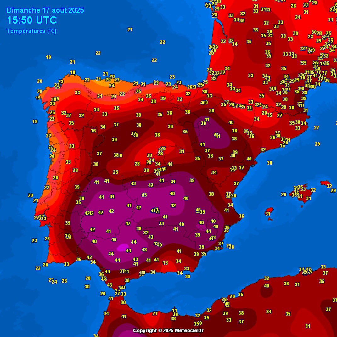 PeriodicDose 🌱🏳️‍🌈🕊#CEASEFIRENOW tweet media