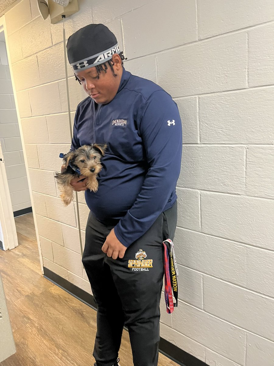 Dallas Wells tweet media