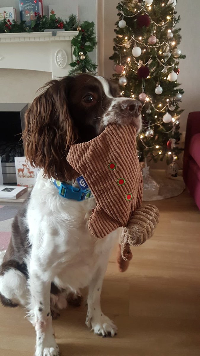 Darren Halfpenny tweet media