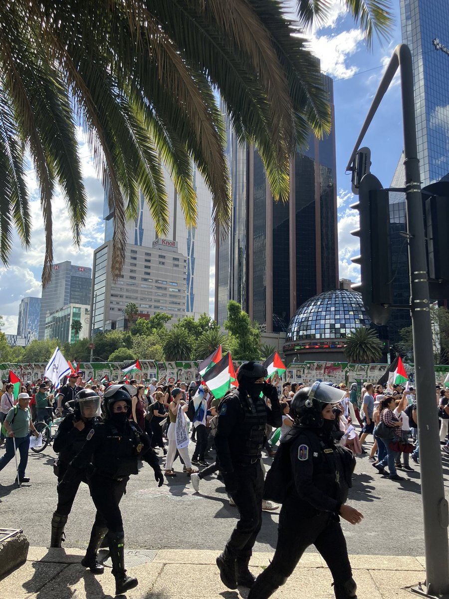 La marcha por #Palestina en CDMX hay un despliegue brutal de granaderos. Van rodeando por los dos lados con una actitud de provocación. Esto solo genera tensión en una de las marchas más grandes que he visto. 

La marcha está llena de infancias. 

Qué absoluta irresponsabilidad.