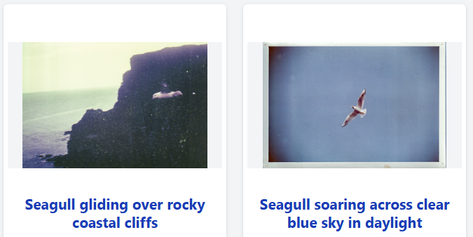 Ioana ποΈ (@ioanalogafatu) on Twitter photo Some of you may have seen that I am trying out an AI plugin to classify my photo collection. Having tried out the Auto-Title option, I will be deleting it. π¬ The first picture is a fulmar, which is a petrel, not even a gull. π¬ Some of you may have seen that I am trying out an AI plugin to classify my photo collection. Having tried out the Auto-Title option, I will be deleting it. π¬ The first picture is a fulmar, which is a petrel, not even a gull. π¬