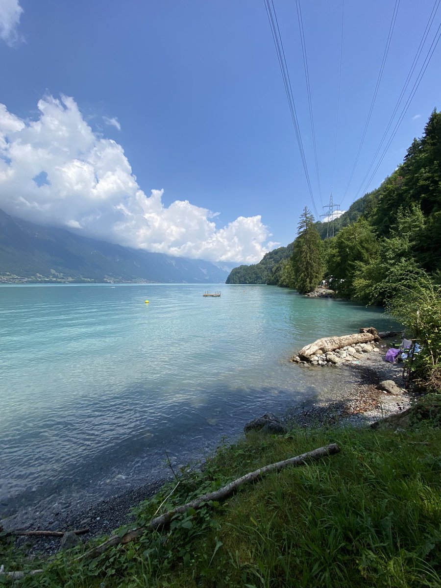 Bloominje's tweet photo. Das Gletscherwasser bringt feinsten Felsstaub – Gletschermehl – aus den Alpen mit. Es bleibt in der Schwebe, streut das Licht und lässt den See in surrealem Türkis leuchten. Ein Kunstwerk der Natur. 🎨🇨🇭 #Brienzersee #Schweiz https://t.co/QtTwyhYeDm