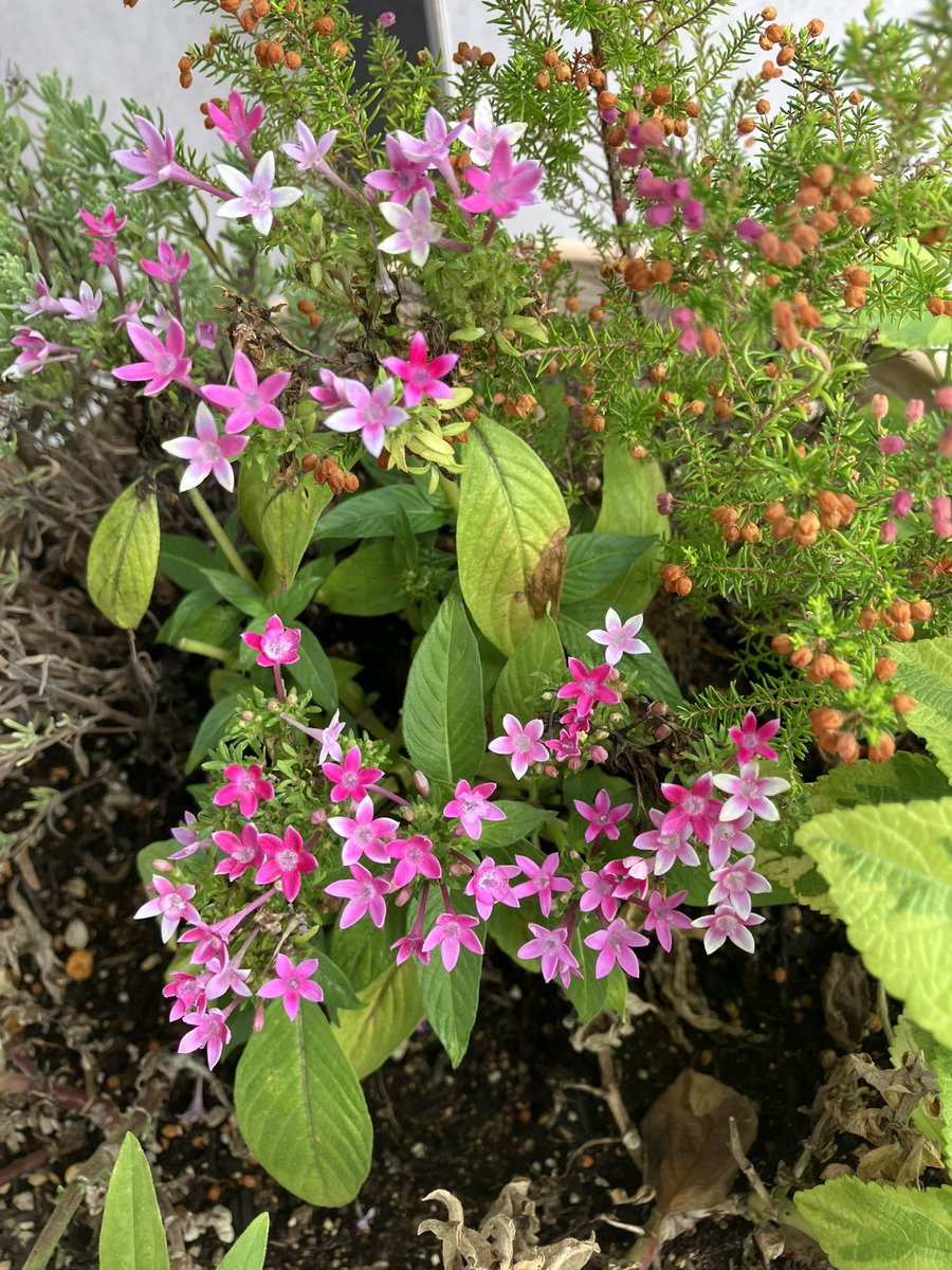 おはようございます。☀️