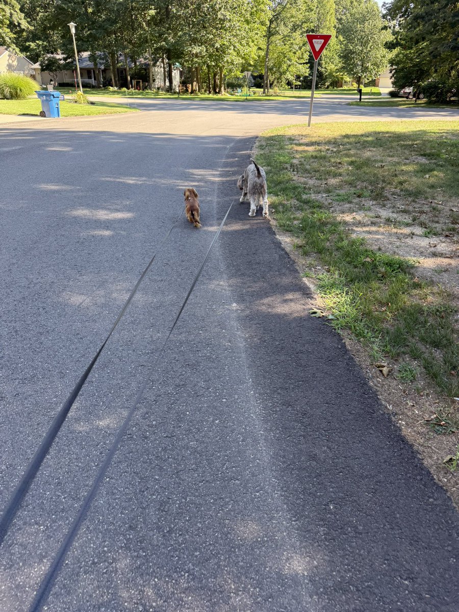 karrie_joy's tweet photo. Good thing I got sun yesterday. Today was full house chore day. Walked both the dogs-mini dog needs to go home, and got in 5 quick miles before dinner prep. I think I’ve earned early bedtime!!! 🥴😴
#everythingisclean
#exceptme😂
#alwayswithme
#sunnysmile
#chooseyou
#choosehappy https://t.co/TGxS7GNhs6